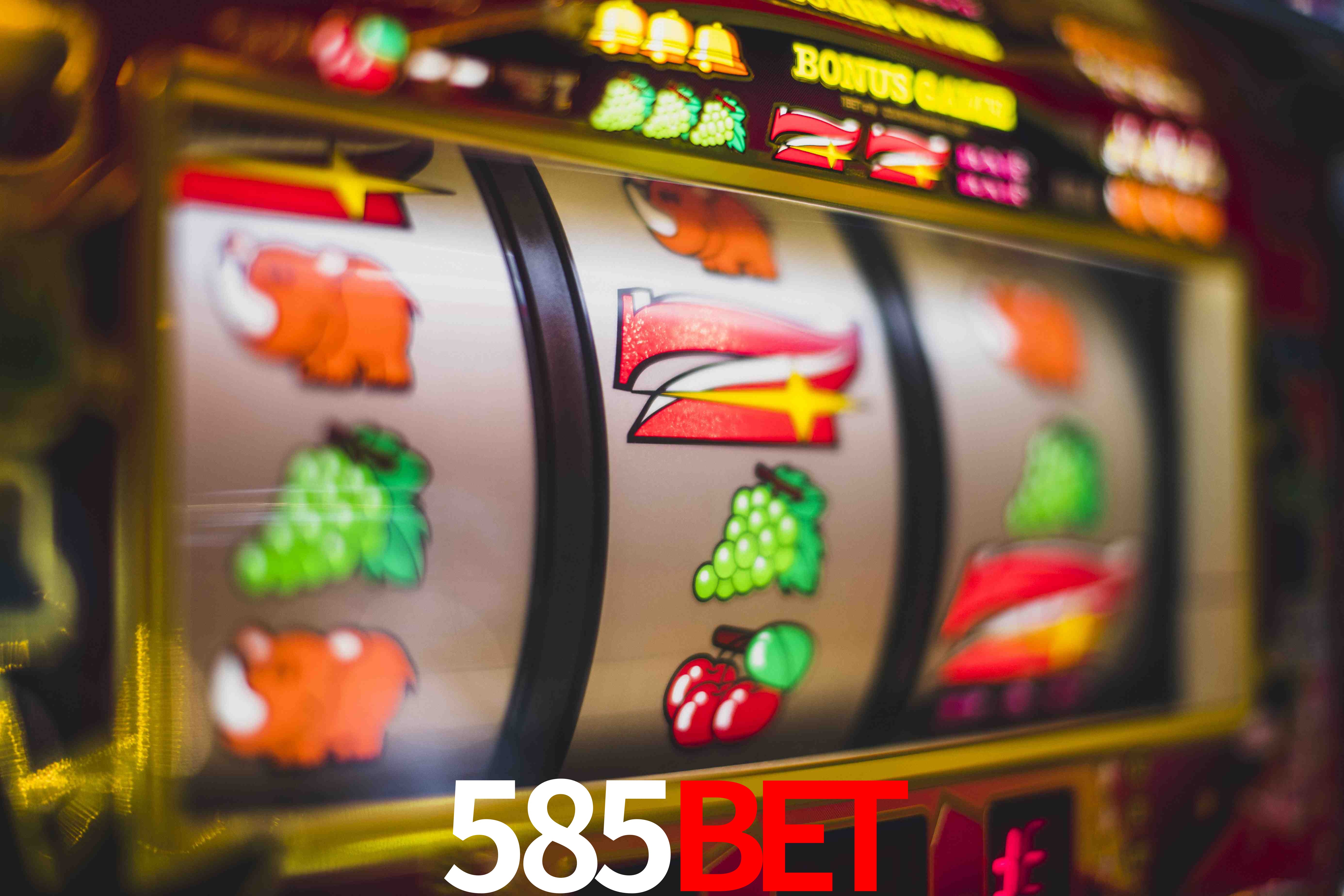 VIP Casino 585bet